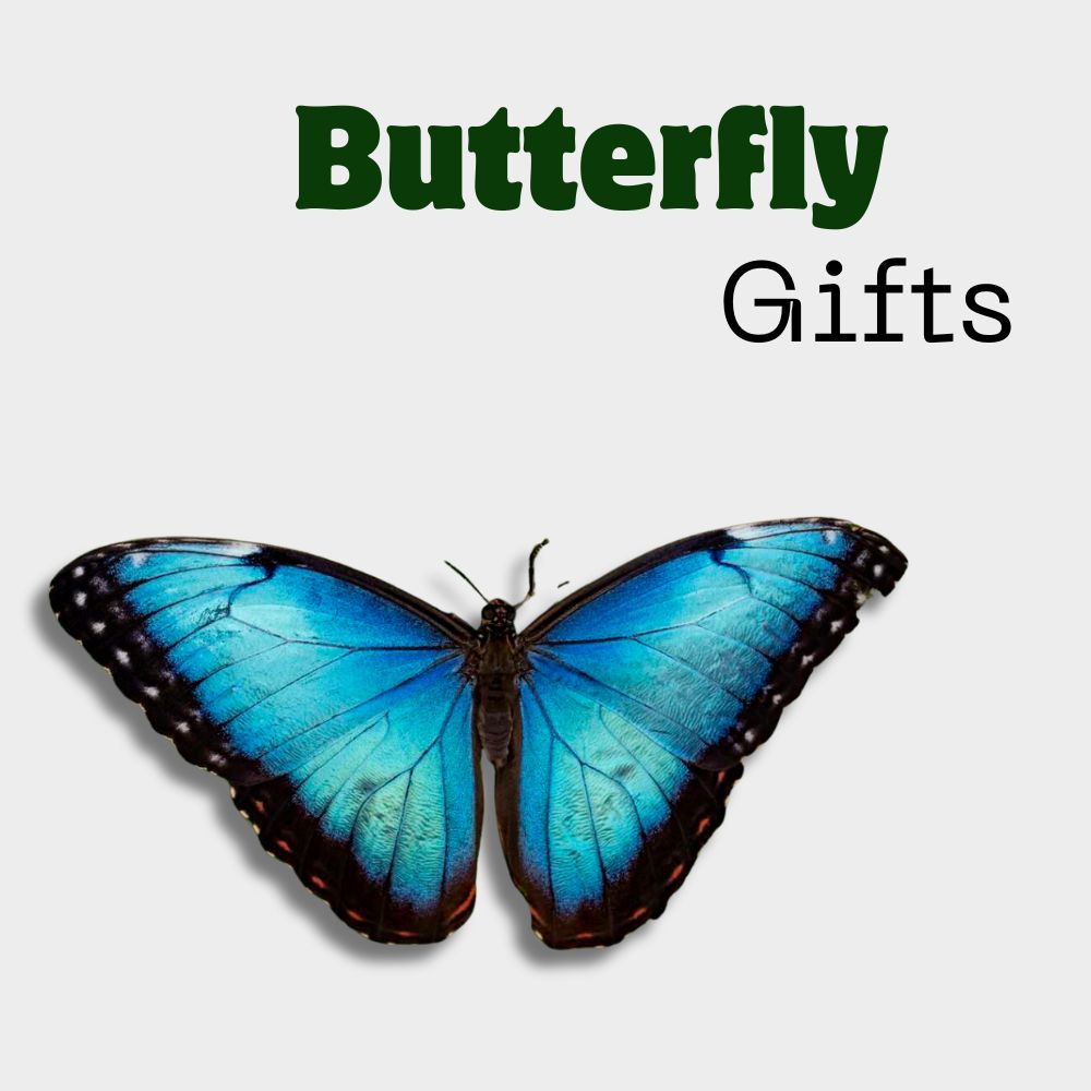 Butterfly Gifts