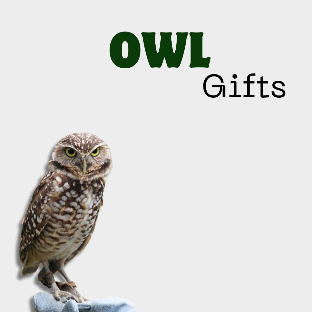 Owl Gifts