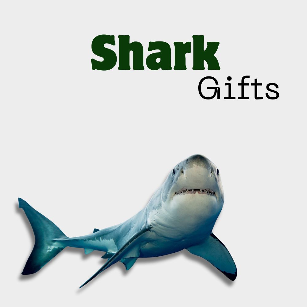 Shark Gifts