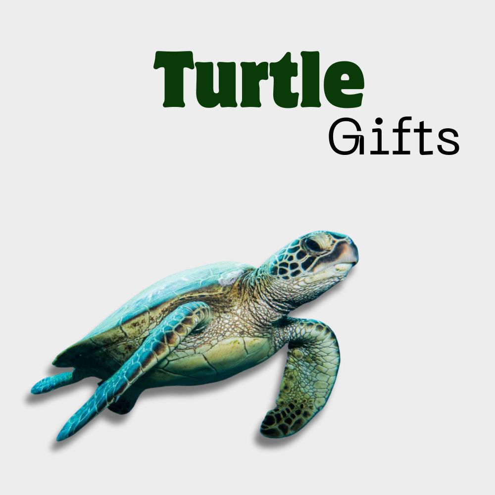 Turtle Gifts